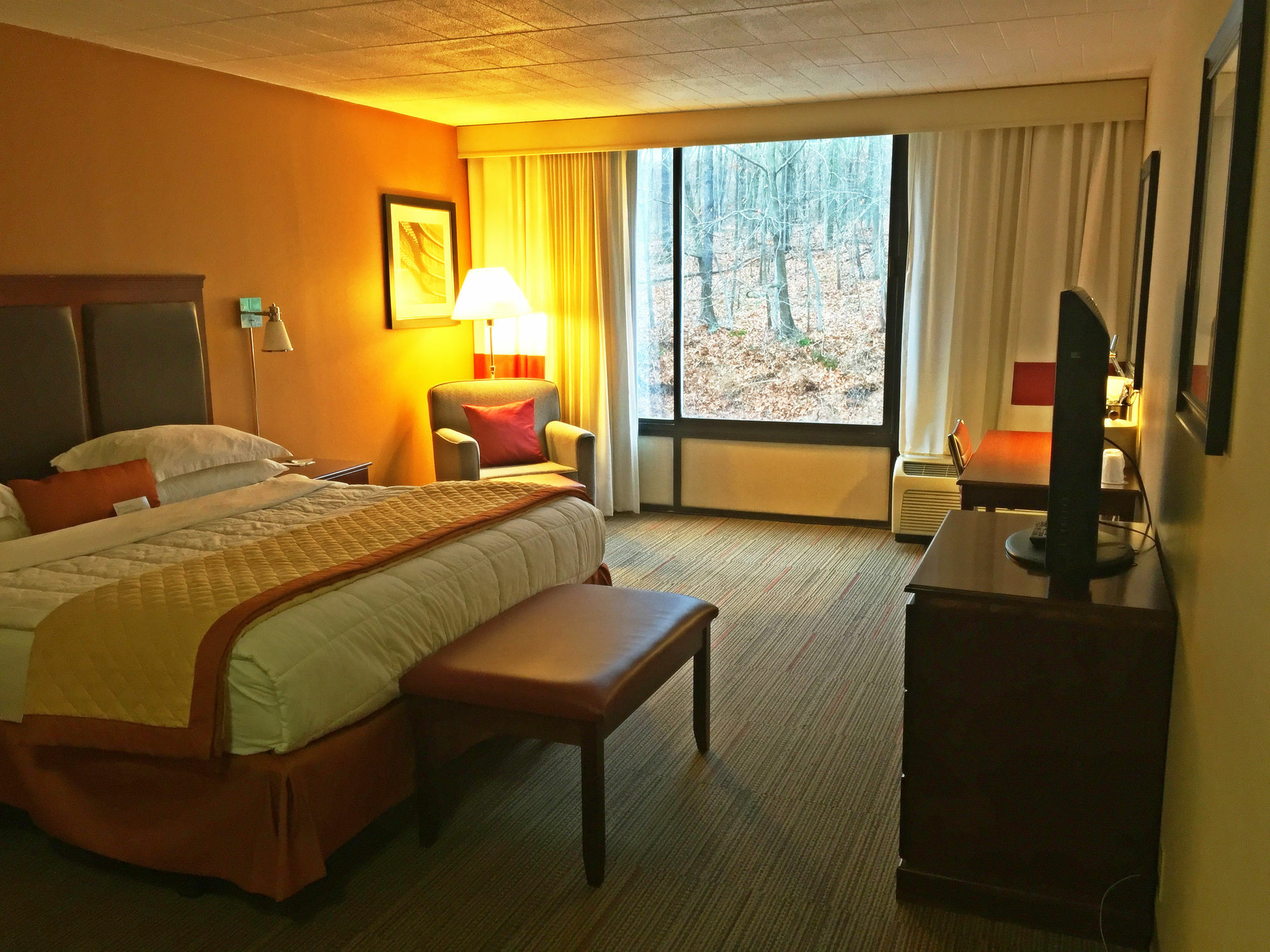 Wyndham Garden Inn Pittsburgh Airport Robinson Township Exteriér fotografie
